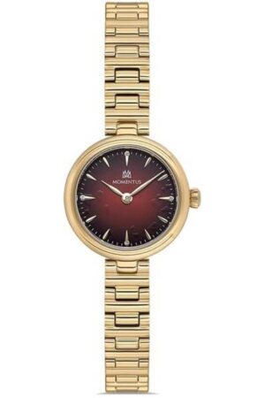 MOMENTUS CW313G-14SG