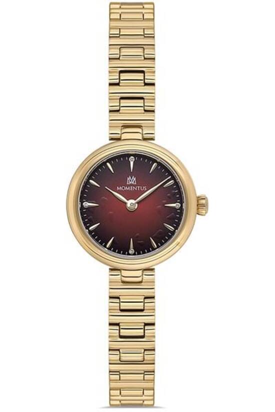 MOMENTUS CW313G-14SG