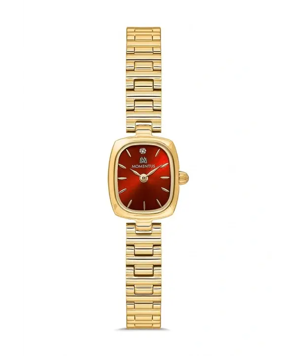 MOMENTUS CW317G-14SG